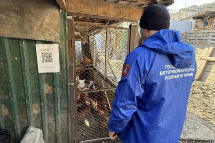 � �. ������ ������������ ������������ �������� ��������� ��������� �/� �����