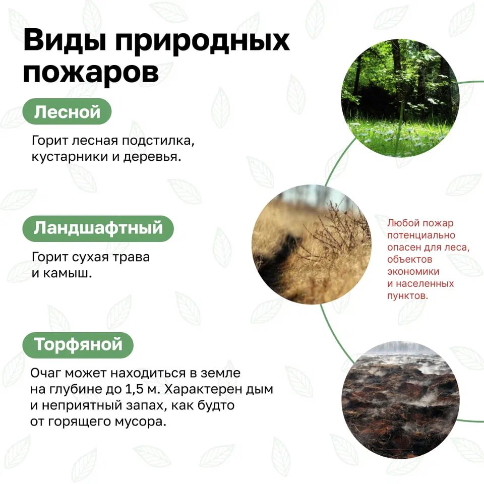 В России стартовала Федеральная информационная противопожарная кампания «Останови огонь!» В России стартовала Федеральная информационная противопожарная кампания «Останови огонь!»