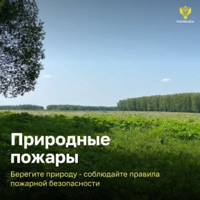 В России стартовала Федеральная информационная противопожарная кампания «Останови огонь!»