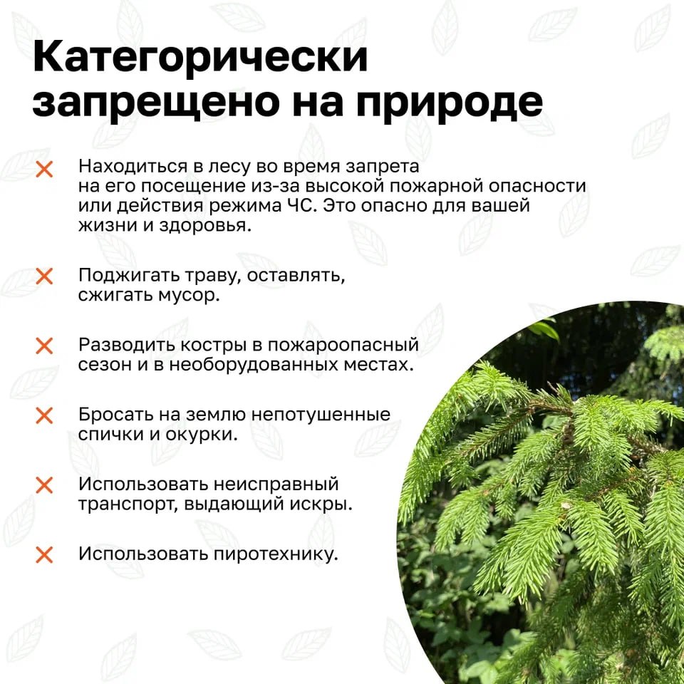 В России стартовала Федеральная информационная противопожарная кампания «Останови огонь!» В России стартовала Федеральная информационная противопожарная кампания «Останови огонь!»