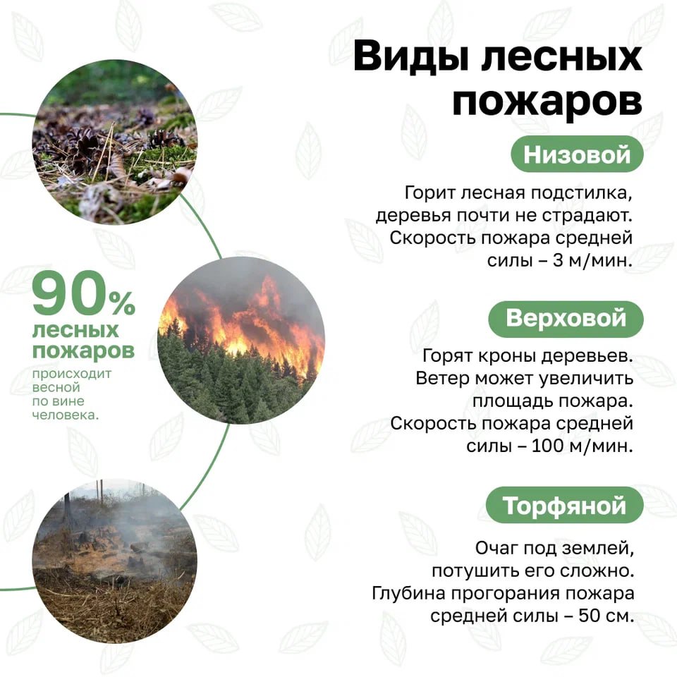 В России стартовала Федеральная информационная противопожарная кампания «Останови огонь!» В России стартовала Федеральная информационная противопожарная кампания «Останови огонь!»