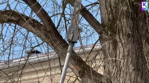 В Керчи продолжаются плановые работы по уходу за зелеными насаждениями и санитарной очистке городских территорий