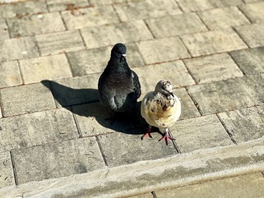 Доброе утро, Армянск!. Желаем, чтобы начало новой недели подарило вам заряд позитивных эмоций! Пусть этот понедельник пройдёт легко, а все дела решаются без малейших усилий