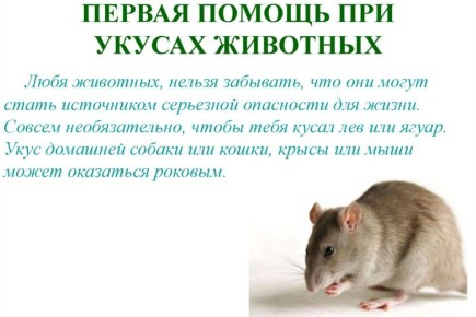 ��� ������, ���� ������ ������?