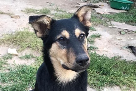 ����������� ������� ����������� ��������� ���������� ����������� � ������� ��������� � ���������