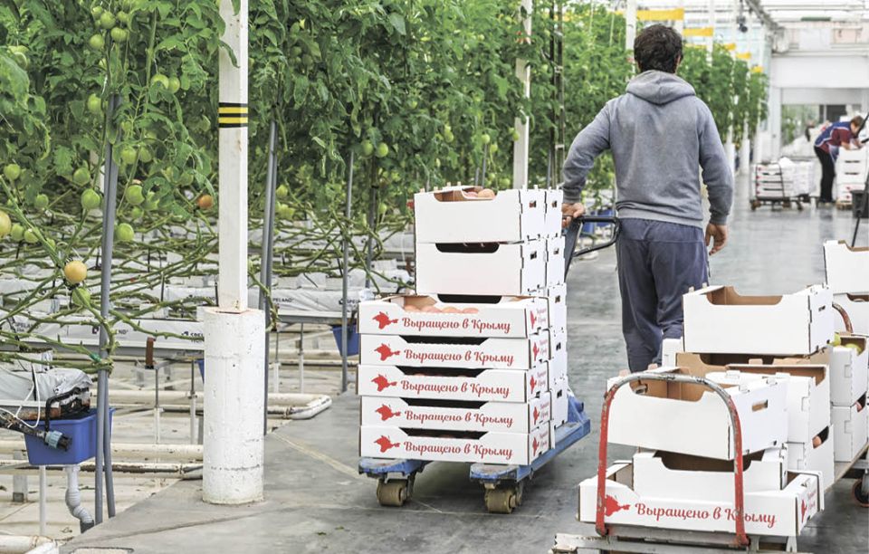 �������������� ������� � �����: �� ����������� ���������� �� ����������� ������������