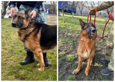 ��������� ������-���������� � ����� ���� ����� ���