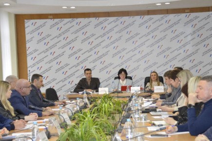 Светлана Лужецкая приняла участие в заседании профильного комитета