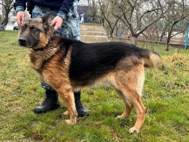 ������ ����� � �����, � ������ �� ������: ����������� ������-����������� � ����� ���� ����� ���