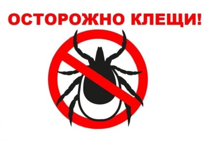 ��������� �����!!!