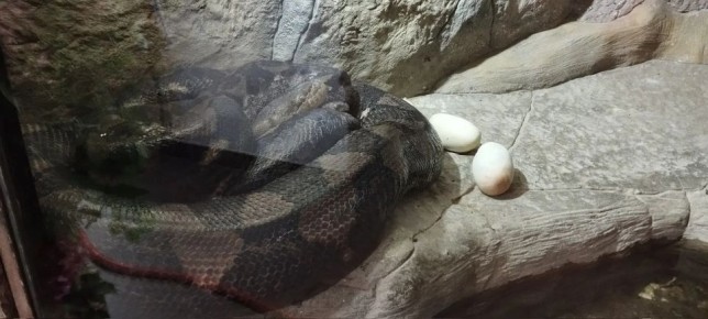 ��� ������: �� ������ ��������� ����� ���� ������