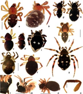 ������ ������� ��� �����������: � ����� ���������� ��� ����� ���� ������