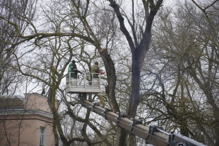Олег Каторгин: Держу на контроле благоустройство общественной территории у остановки «Фабрика-кухня»