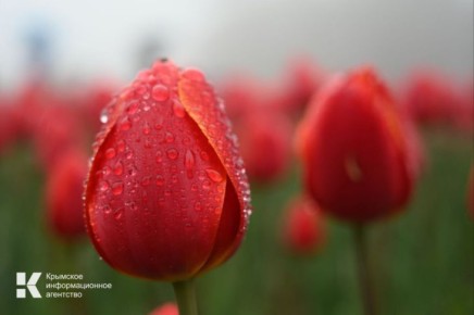 ������� ���� �������� ������ ��������� � ��������� ����