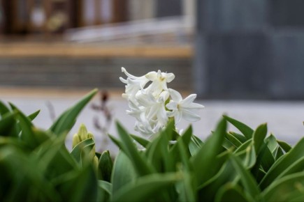 ������ ����!. #�����������