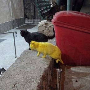 ������ ������ ��������� ��������������� ��� ��������: �������� ���� ����������� ��������� � ����� ����