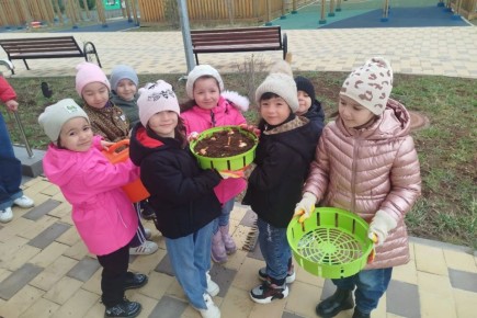 �� ����� �������� ����������� ��������� �������� ������ ���������