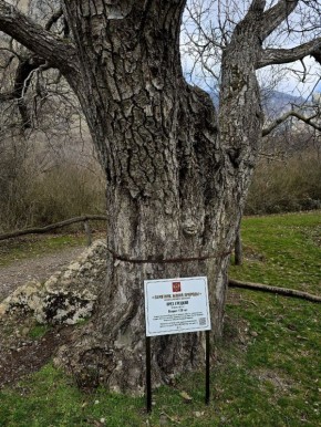 Сергей Колясников: Крым. Этот орех почти в два раза старше Украины