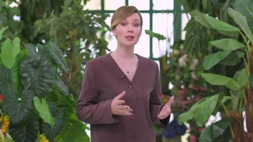 Родолия (Rodolia cardinalis) — настоящий природный защитник растений