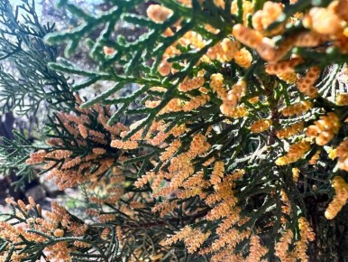 ������ ����, �������!. ������ ������������ ���, ���������� ������������ �����, �������� � �������! ������� � �������� �������, t +8 - +10, ����� ���������, ������-���������