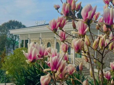 Красотой из Алупки делится администрация Ялты