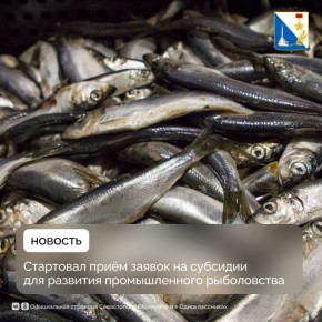 ����������� ��������� ��������� ��������� ������ �� �������� ��� �������� ������������� �����������