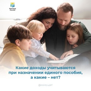 Александр Соколовский: Какие доходы учитываются и не учитываются при назначении единого пособия?