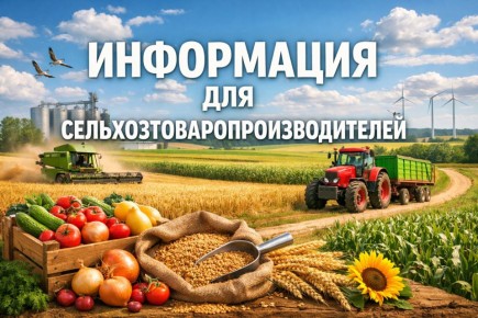 ������������� ������������ ������ ���������� � ������������� ���������� ���������� �� ������ ������