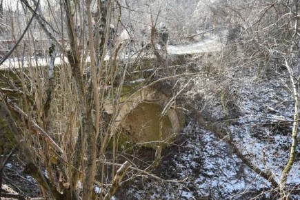 ��������� ���������� �������� ����� � ������ ���������������� �����������