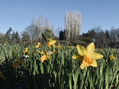 Погода в Симферополе 28 марта