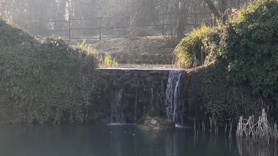 ����������� �������������!