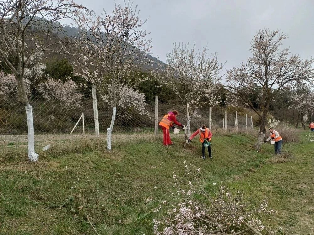 Субботник №2: филиалы включились на полную! Субботник №2: филиалы включились на полную!