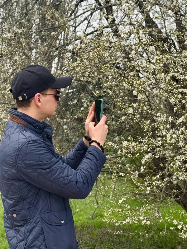 ���� ������: ���������� �������� � ������������ ���� ��������� ������������ ������������