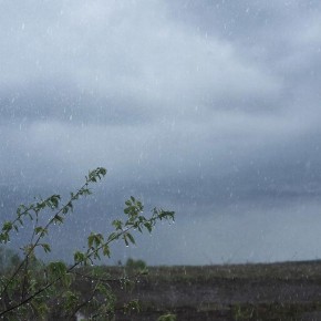 Дожди ожидаются в Крыму в ближайшие два дня