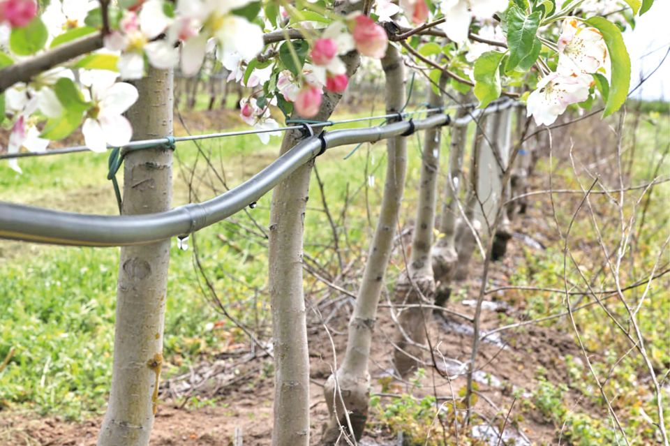 ��������� ��������, ���������� � ����� �� ��������: ��� �������� ������� ����������� ������� ��������