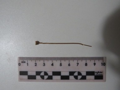 В Феодосии задержан злоумышленник за кражу золотых украшений у местной жительницы