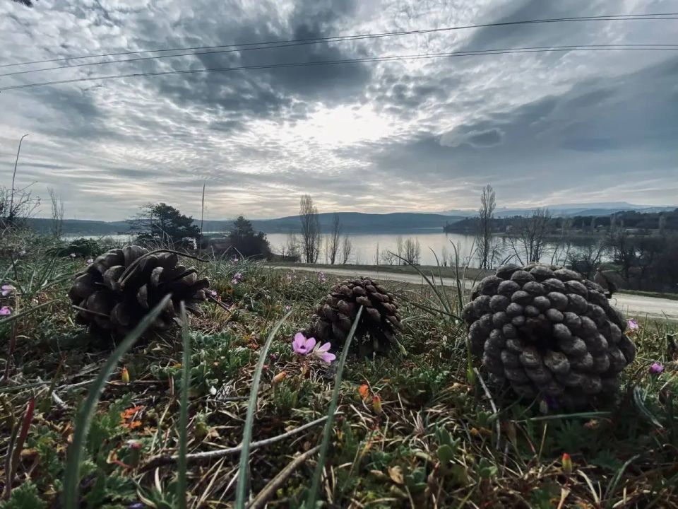 ������ � ����������� 30 �����