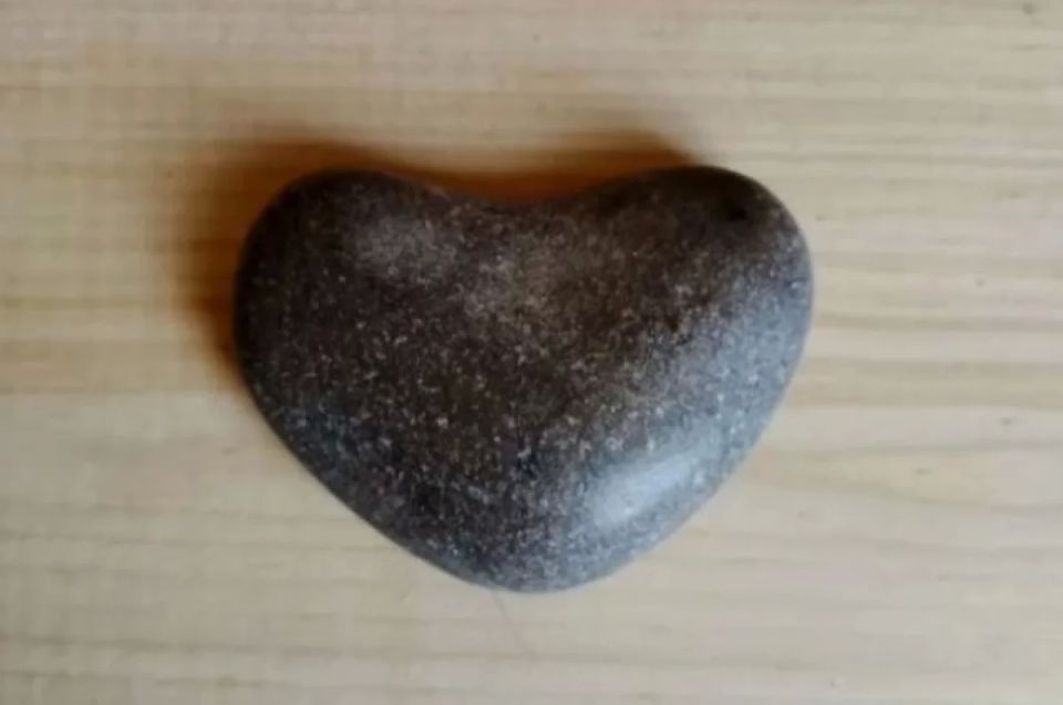 "�������� ��������� ���� ������": ������ � ����� ������ ������� � ����������� �� ������� ������