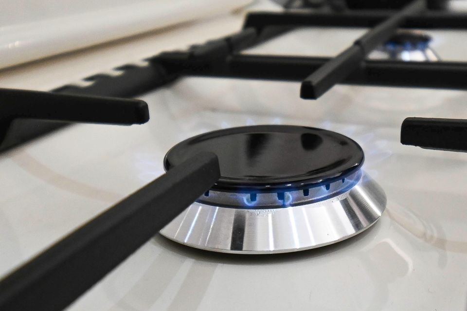 ���������� ���� ������� � ������� ���� 40 ��� ������ �� ��������� ���������� �����������