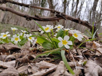 Погода на 31 марта:. • пасмурно небольшой дождь