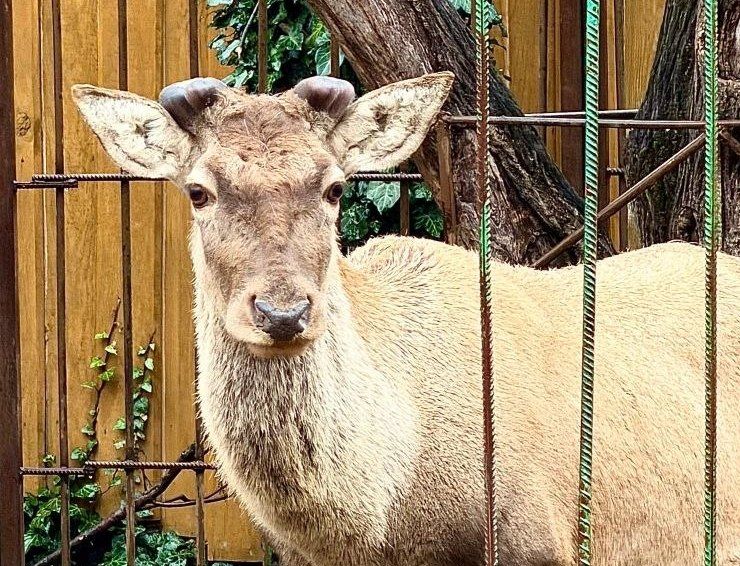 ����� ������ �� ����������� ������� ����