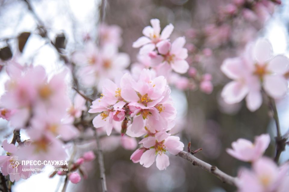 ������ ����, ���������!. ����������� ������� ���������� ������� �� +11��