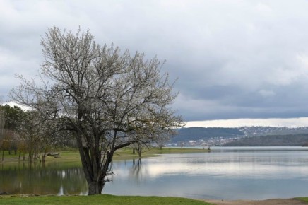 ������ ���� �������� ����� ������ ��������������� ����� � ������ �������� ��������� ����, ��� �� ���� ���������� ���