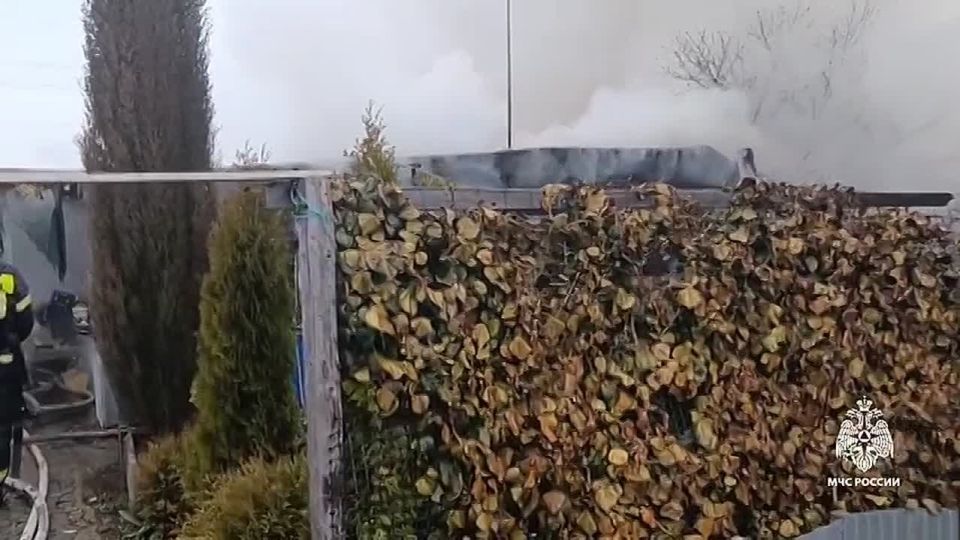 ��� ������������ ������ ����� ����� � ���