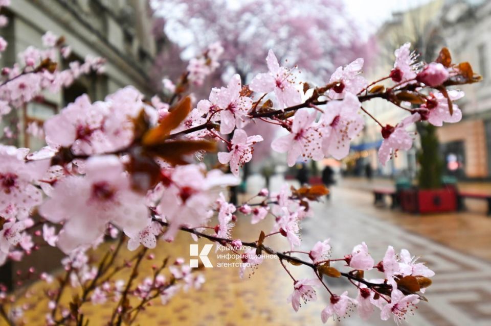 � ����������� ������� ��������