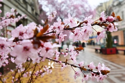 В Симферополе сегодня дождливо