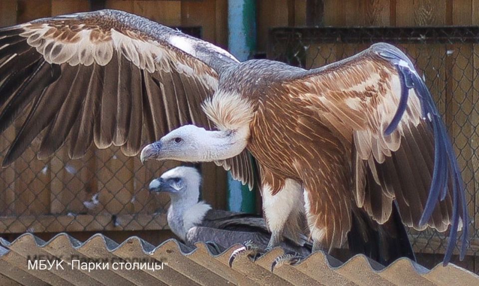 ������� � ������������� ���� ����