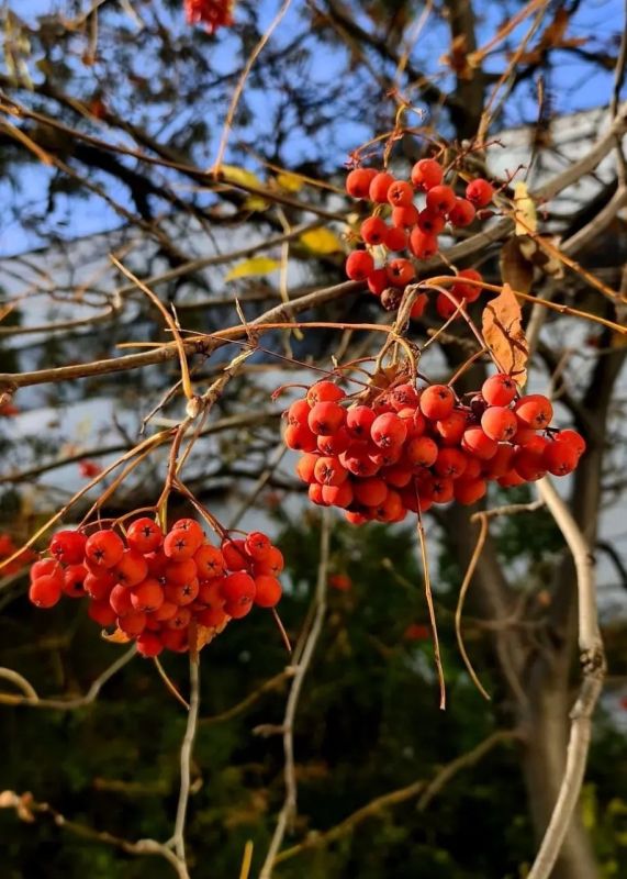 ������ � ����������� 2 ������