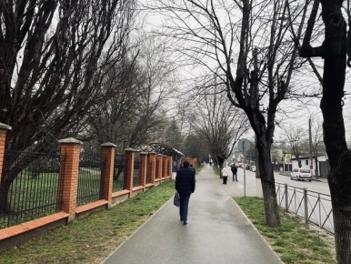 ������ ����, �����������!