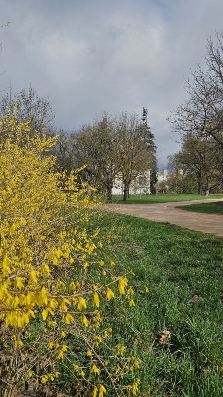 ��� ��� ������� ������ � ������������ ���� ��� � �����������